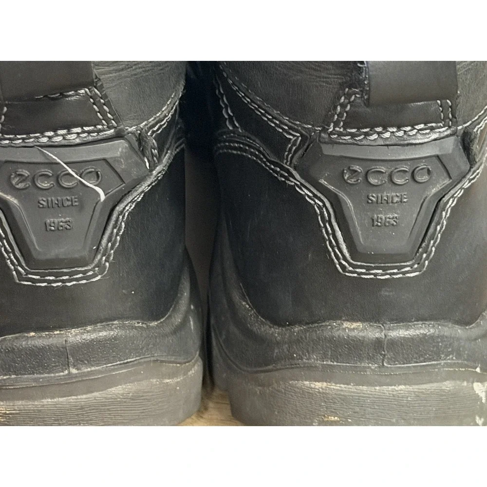 Ecco track mid